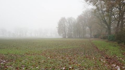 Ampfing Industrieflächen, Lagerflächen, Produktionshalle, Serviceflächen