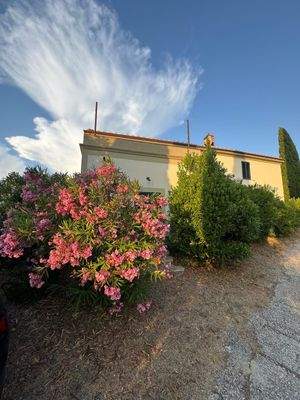 PHOTO-2025-08-14-15-51-35 5