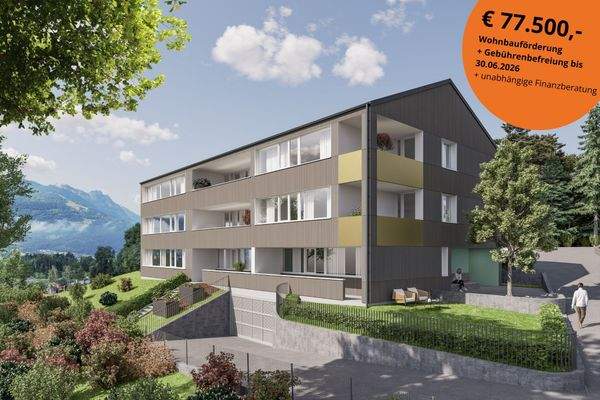 GÖFIS NO Vignette.jpg