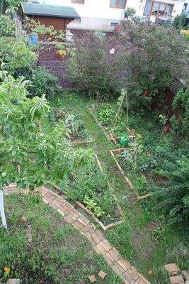 Gemüsegarten vom Balkon