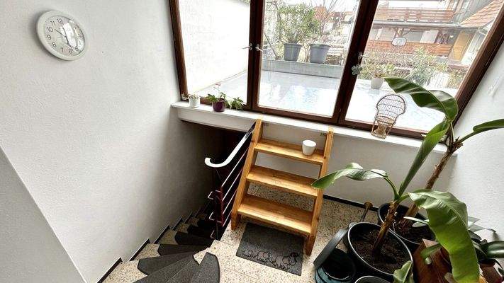 IMG_0322 (Mittel).JPEG