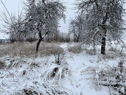 Ansicht Grundstück B.1
