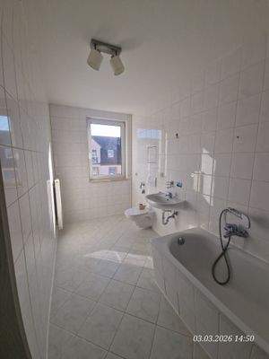 2026_03_03 14-50-39.jpg