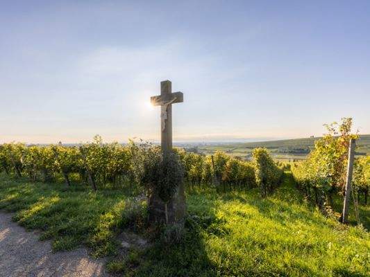 Ehrenkirchen_Weinberge.jpg