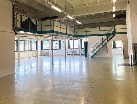 Heidenheim Halle, Heidenheim Hallenfläche