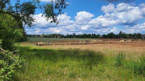 Schönwald Grundstücke, Schönwald Grundstück kaufen