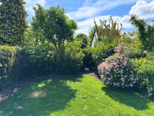 Garten 5