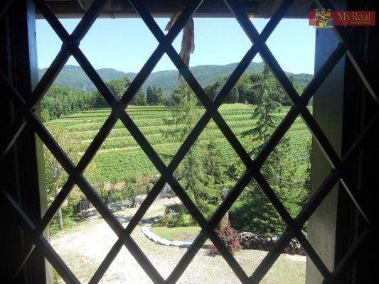 Blick in die Weinberge