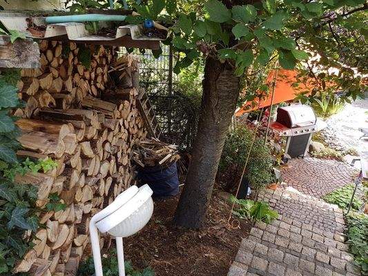 Holz für den Kachelofen