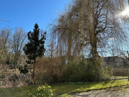 Blick vom Balkon 8ffe5c8f-c33b-4822-85fd-81347fc38c37