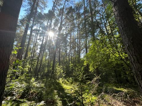 Heiligengrabe Bauernhöfe, Landwirtschaft, Heiligengrabe Forstwirtschaft