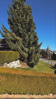 Grundstück zur Straße