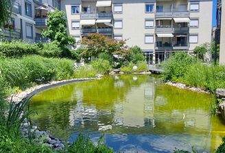 Innenhof mit Teich