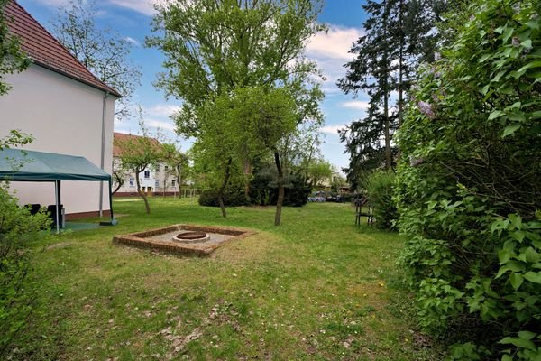 Garten Hinterhof Blick von der Schönhauser Str.