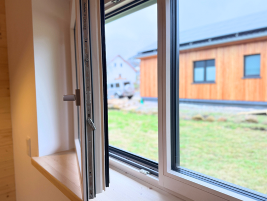 Detail - Fenster.png