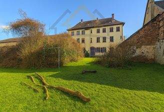 Großer Garten hinterm Haus