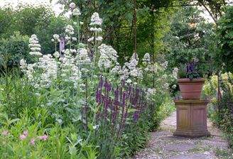 Impressionen im Sommer