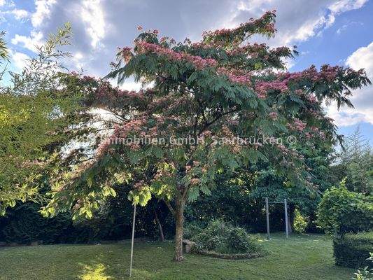 Privates Gartenidyll