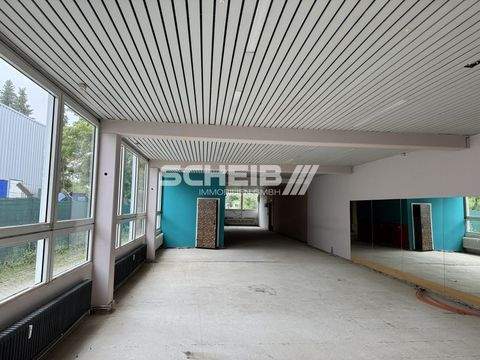 Schwäbisch Hall Halle, Schwäbisch Hall Hallenfläche