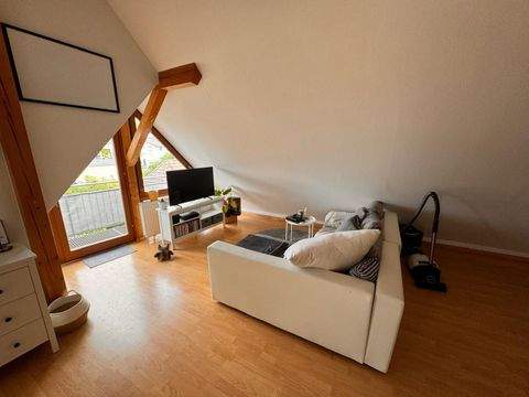 Friesenheim Wohnungen, Friesenheim Wohnung mieten