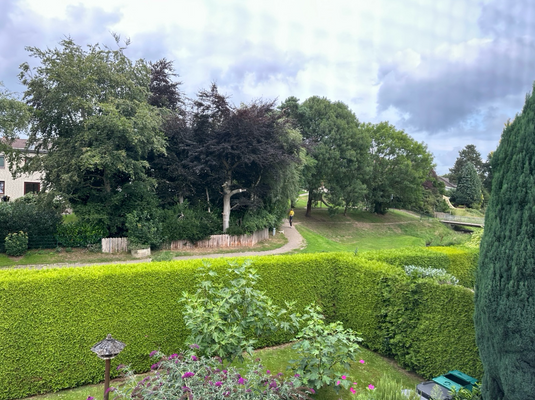 Blick in den Garten .png