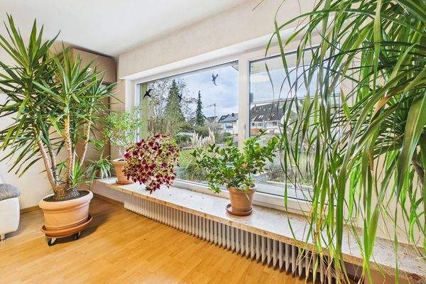 große Fensterfronten, helle Räume