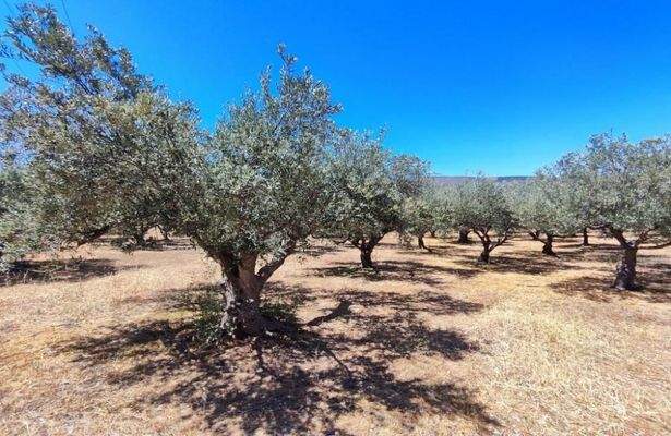 Kreta, Monastiraki: Großes Anwesen mit vielen Möglichkeiten zu verkaufen