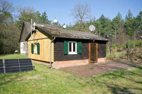 Dötlingen / Ostrittrum Häuser, Dötlingen / Ostrittrum Haus mieten 