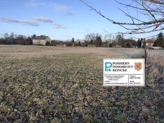 6 Südliche Flurstücksgrenze.jpg