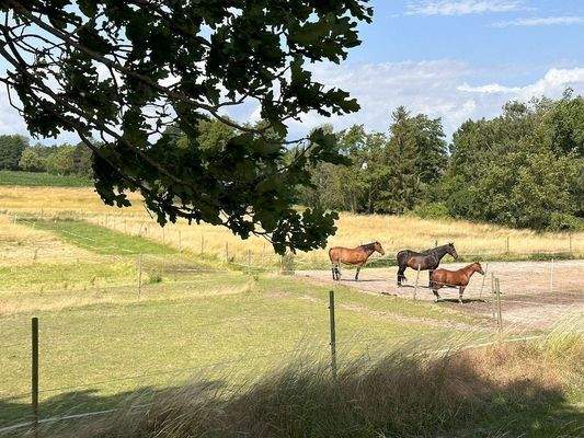 unverbauter Ausblick.jpg