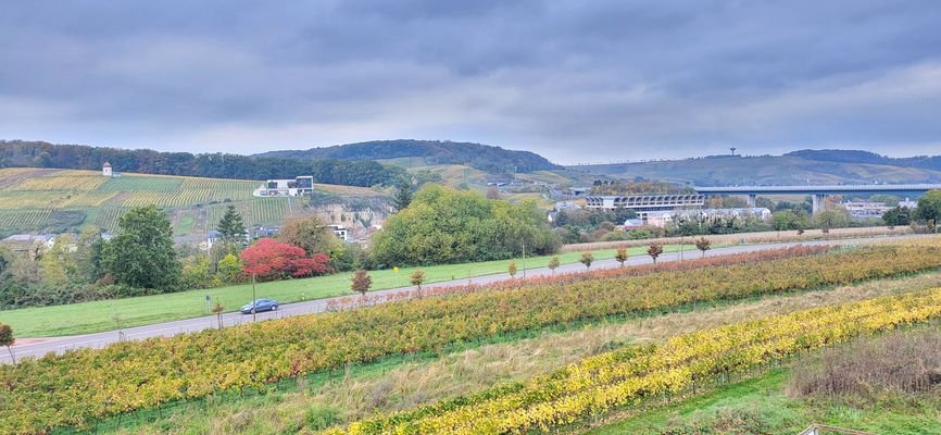 FERNBLICK IN DIE WEINBERGE VON LUXEMBURG 