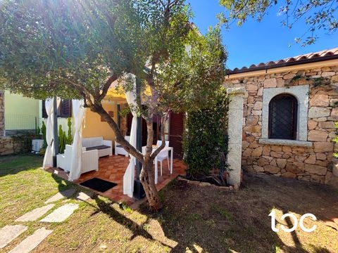 Vaccileddi Wohnungen, Vaccileddi Wohnung kaufen