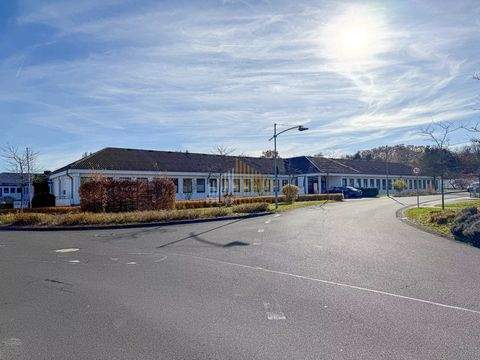 Bitburg Renditeobjekte, Mehrfamilienhäuser, Geschäftshäuser, Kapitalanlage