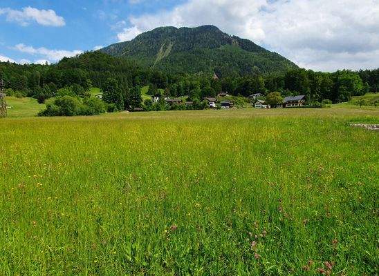 Untersbergblick im Osten