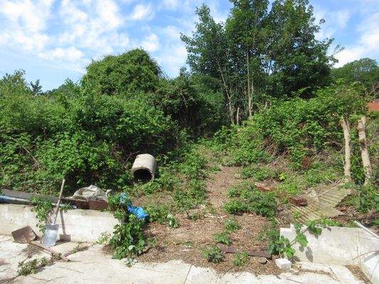 Der vordere Garten.JPG