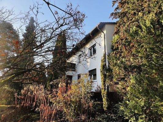 Schön eingewachsener Garten