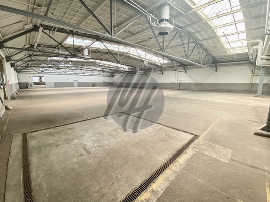 INFOS UNTER: 06171-586000