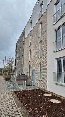 20241113_130735 (Mittel).jpg