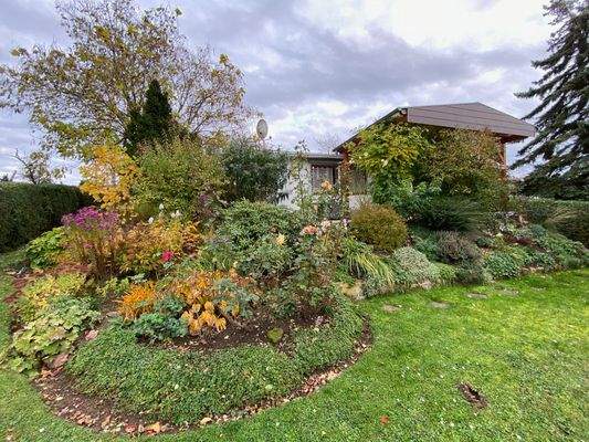 Gartenimpressionen des letzten Jahres (2).JPG