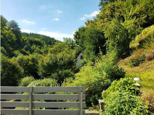 Blick in den Garten über Terrasse OG1