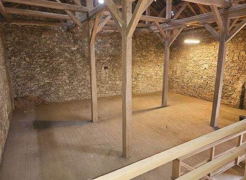 Bad Nauheim Halle, Bad Nauheim Hallenfläche