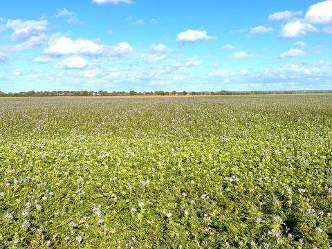 Erftstadt / Köttingen Bauernhöfe, Landwirtschaft, Erftstadt / Köttingen Forstwirtschaft