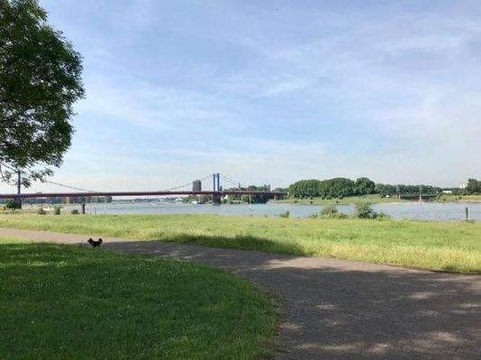 Blick nach Ruhrort und Homberg