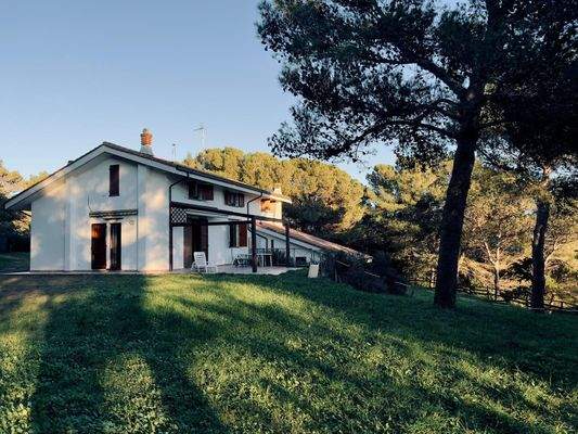 PHOTO-2024-12-11-21-49-57 3.jpeg