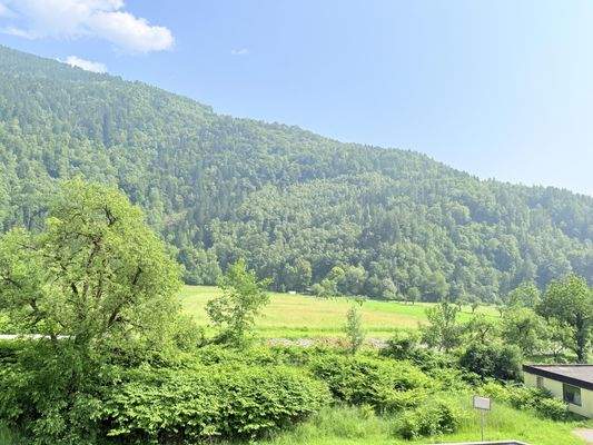 Aussicht/Grünblick