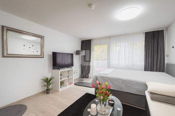 Wohn- und Schlafzimmer