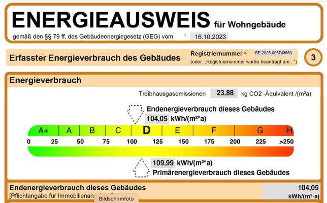 Auszug Energieausweis