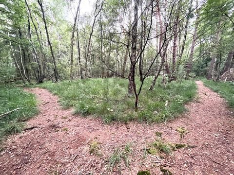 Pinneberg Grundstücke, Pinneberg Grundstück kaufen