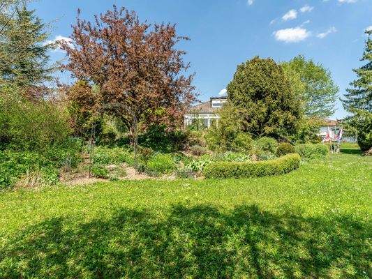 südlicher Teil vom Garten