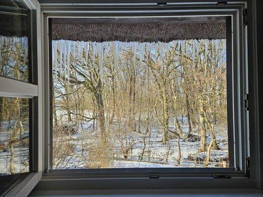 Eiszapfen gehören zum Winter